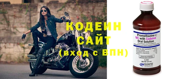 ГАЛЛЮЦИНОГЕННЫЕ ГРИБЫ Каменка