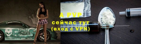 ГАЛЛЮЦИНОГЕННЫЕ ГРИБЫ Каменка