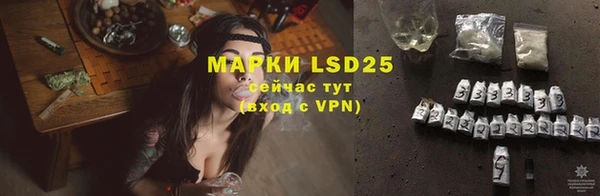 ГАЛЛЮЦИНОГЕННЫЕ ГРИБЫ Каменка