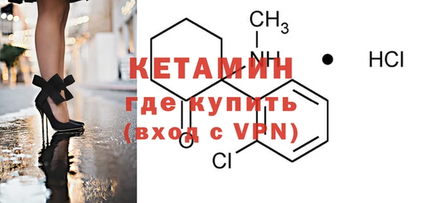 ГАЛЛЮЦИНОГЕННЫЕ ГРИБЫ Каменка