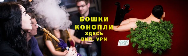 ГАЛЛЮЦИНОГЕННЫЕ ГРИБЫ Каменка