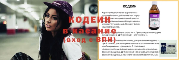 ГАЛЛЮЦИНОГЕННЫЕ ГРИБЫ Каменка