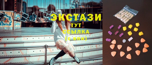 ГАЛЛЮЦИНОГЕННЫЕ ГРИБЫ Каменка