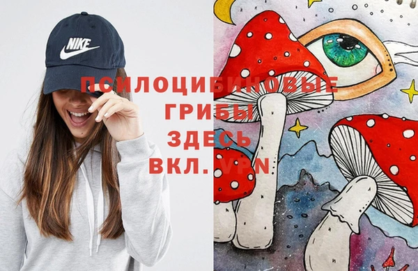 альфа пвп Каменск-Шахтинский