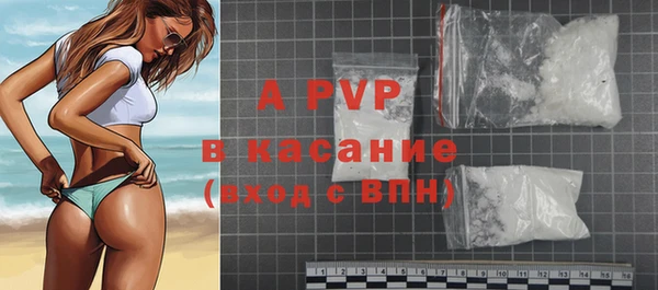 ГАЛЛЮЦИНОГЕННЫЕ ГРИБЫ Каменка